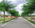 TOP 10+ CÔNG TY CÂY XANH ĐÔ THỊ UY TÍN - CHUYÊN NGHIỆP NĂM 2026