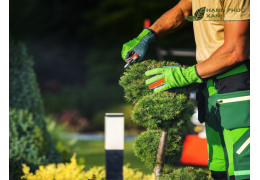 Bảo Dưỡng Cảnh Quan