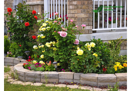 Thi Công Cảnh Quan