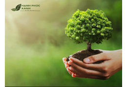 Vệ Sinh Công Nghiệp