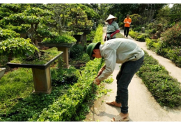 Bảo Dưỡng Cảnh Quan