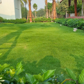 Bảo Dưỡng Cảnh Quan Cho Khu Dân Cư, Nhà Máy, Văn Phòng