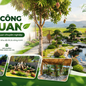 Công Ty Thi Công Cảnh Quan Uy Tín