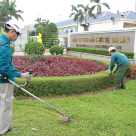 Chăm Sóc Cây Xanh Khu Công Nghiệp