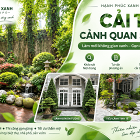 Cải Tạo Cảnh Quan Sân Vườn