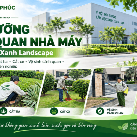 Bảo Dưỡng Cảnh Quan Nhà Máy Chuyên Nghiệp
