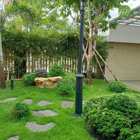 Chăm Sóc – Cắt Tỉa – Bảo Dưỡng Cảnh Quan Uy Tín