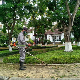 Dịch Vụ Chăm Sóc Cảnh Quan Trọn Gói