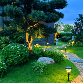 Cảnh Quan Sân Vườn Cao Cấp