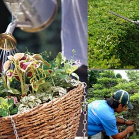 BẢO DƯỠNG CẢNH QUAN - LỢI ÍCH CỦA VIỆC BẢO DƯỠNG CẢNH QUAN