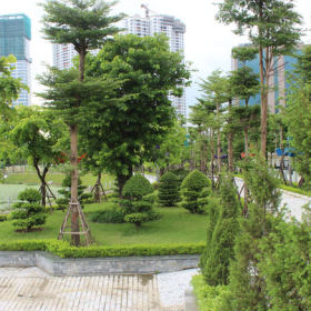 Công Ty Cảnh Quan – Đơn Vị Thi Công Cảnh Quan Uy Tín Hạnh Phúc Xanh