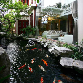 Ý tưởng thiết kế hồ cá Koi tạo không gian thư giãn ngoài trời