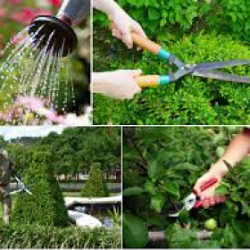 Công ty bảo dưỡng cảnh quan Đồng Nai