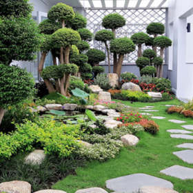 Thi Công Sân Vườn