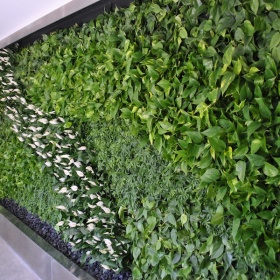 Thi Công Tường Cây Xanh 2026 Đẹp | Chuyên Nghiệp