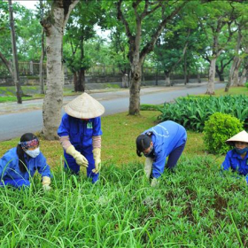 Bảo Dưỡng Cảnh Quan Định Kỳ 