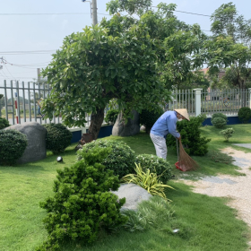 Chăm Sóc Cây Xanh Cảnh Quan