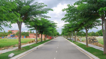 Thi công tường nước, non bộ, hồ cá, tiểu cảnh