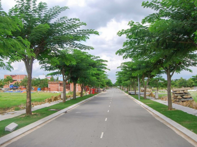 TOP 10+ CÔNG TY CÂY XANH ĐÔ THỊ UY TÍN - CHUYÊN NGHIỆP NĂM 2026