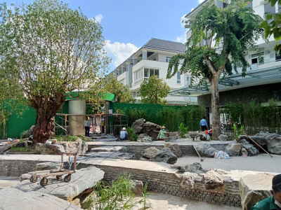 DỊCH VỤ THIẾT KẾ SÂN VƯỜN