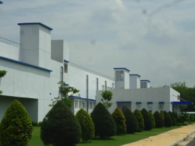 Dịch Vụ Chăm Sóc Cây Xanh Khu Công Nghiệp