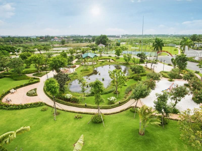 30 cây công trình đẹp, giá rẻ cho sân vườn, khu đô thị