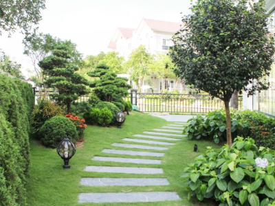 Cảnh Quan Cây Xanh Chuyên Nghiệp