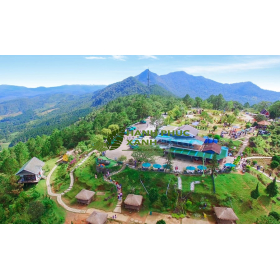 Dịch Vụ Chăm Sóc Cây Xanh